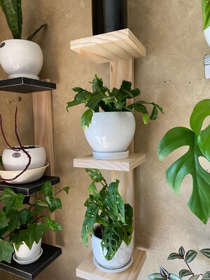 Plant Shelf, 3-tiered shelf, floating shelf, cat proof shelf, plant stand, small shelf, hanging plant shelf, wall planter, pot shelf - image4